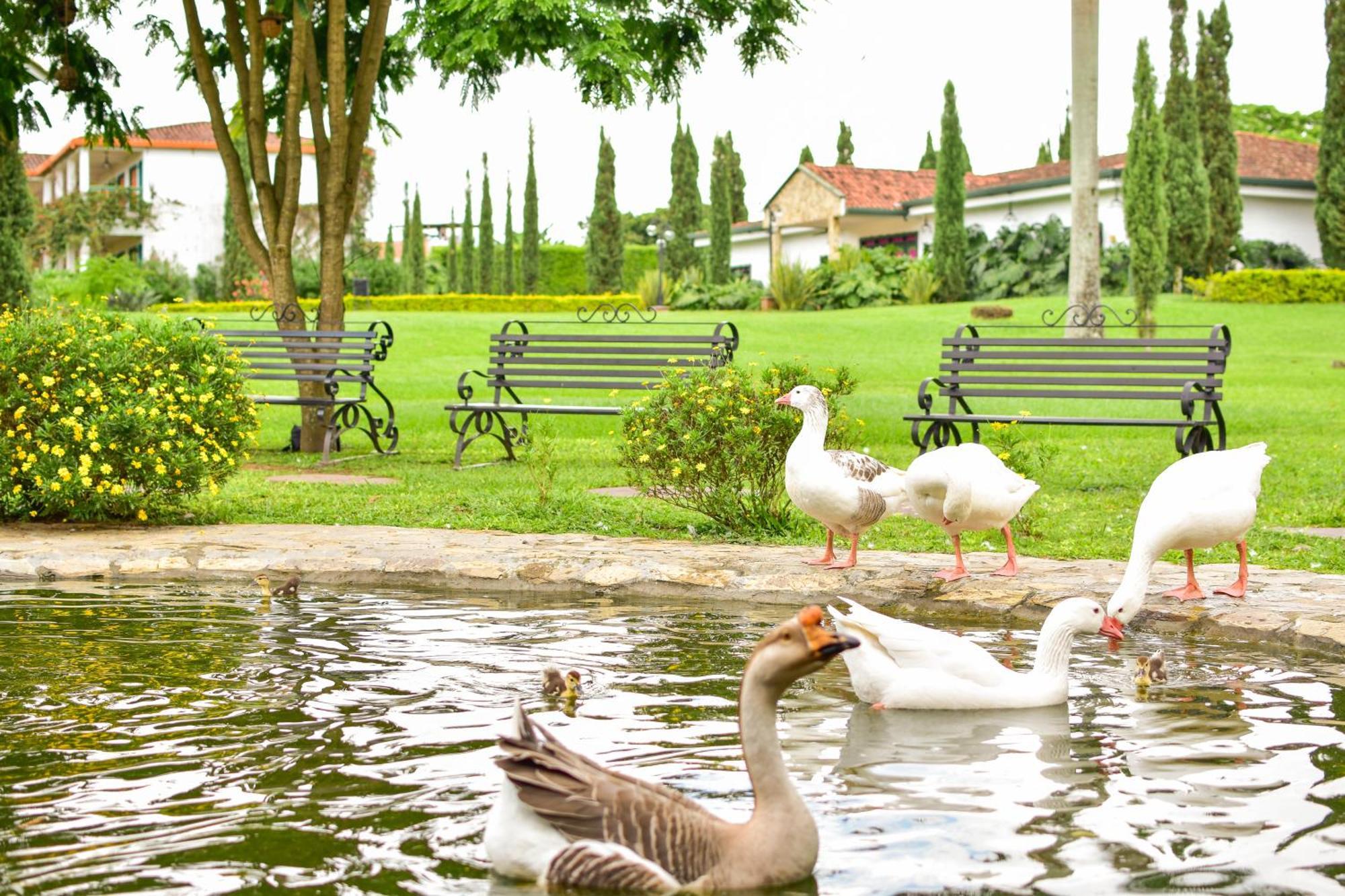 Hotel Campestre Cafe Cafe Montenegro Exterior foto