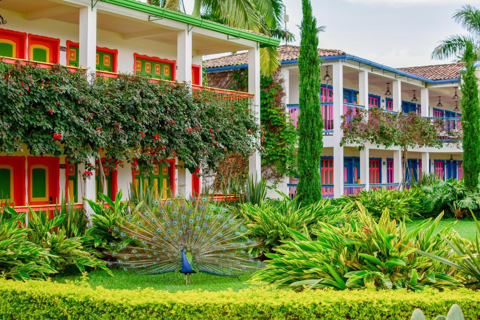 Hotel Campestre Cafe Cafe Montenegro Exterior foto
